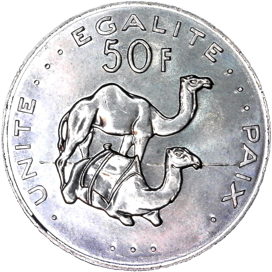 Djibouti The Camel Ride: Handcut Coin Pendant Necklace ִֶָ