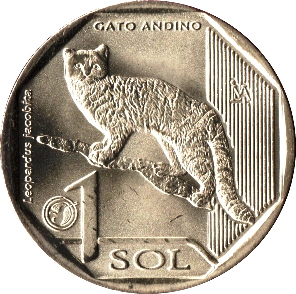 Peru Andean Cat: Handcut Coin Pendant Necklace