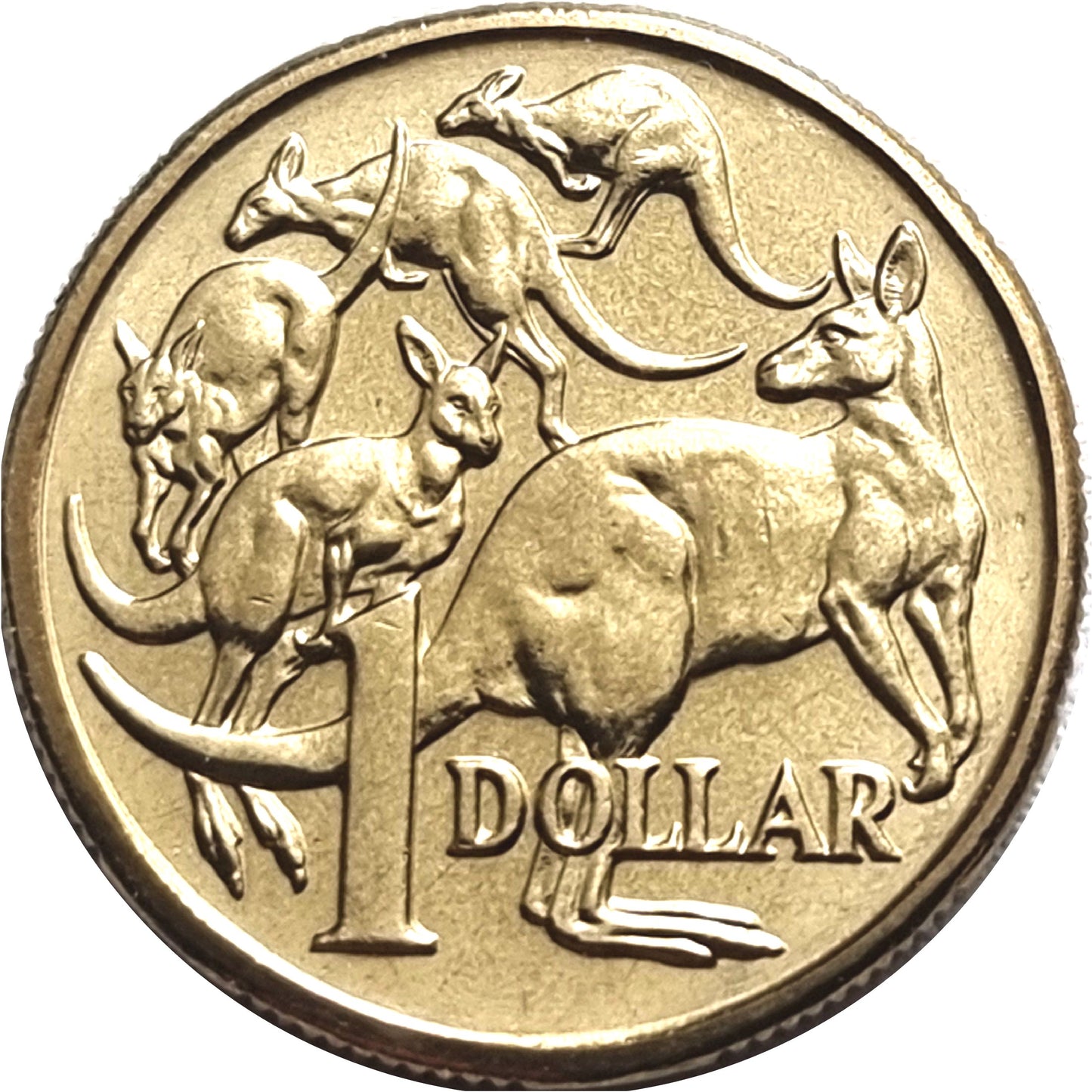 Australia The Kangaroo: Handcut Coin Pendant Necklace